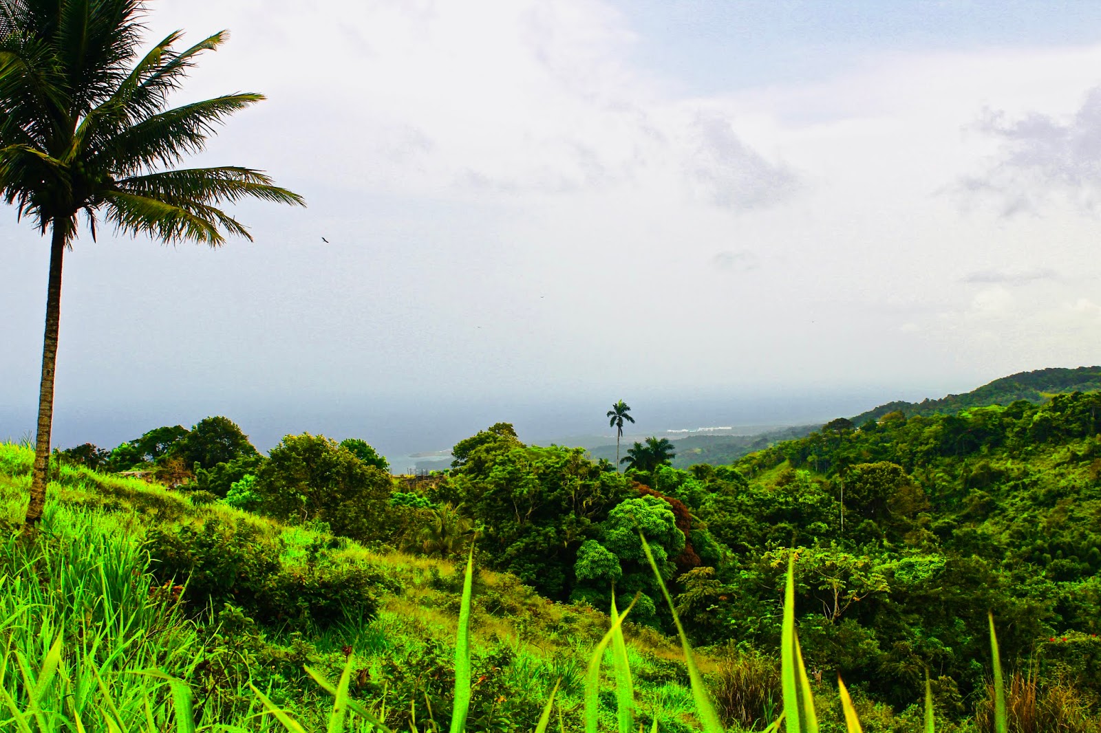 A Cultural Journey: Exploring Jamaica’s Rich Heritage